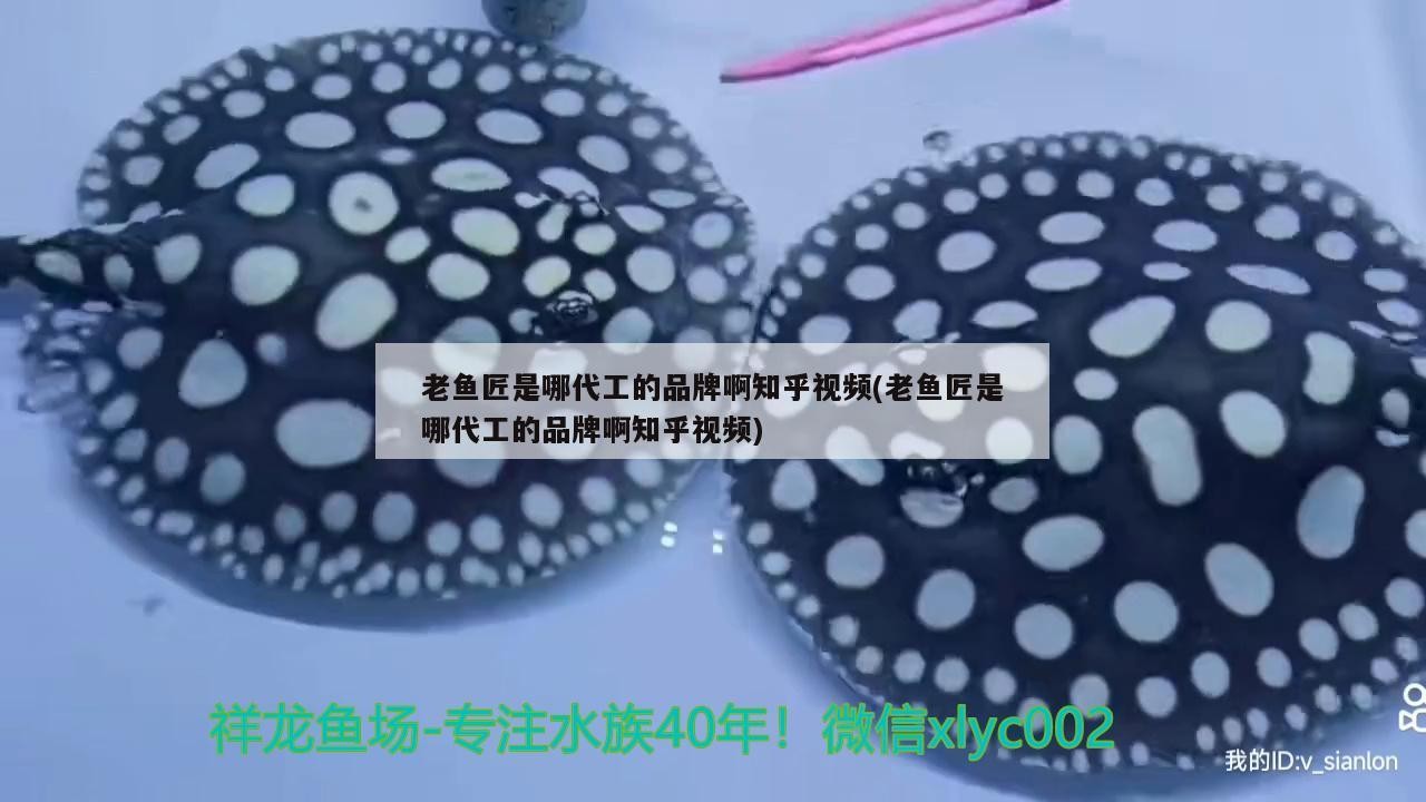 老魚匠是哪代工的品牌啊知乎視頻(老魚匠是哪代工的品牌啊知乎視頻)
