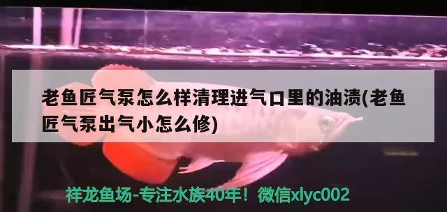 老魚匠氣泵怎么樣清理進(jìn)氣口里的油漬(老魚匠氣泵出氣小怎么修) 老魚匠氣泵怎么樣清理進(jìn)氣口里的油漬(老魚匠氣泵出氣小怎么修) 老魚匠