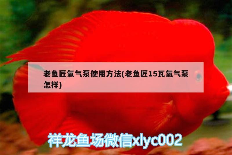 老魚匠氧氣泵使用方法(老魚匠15瓦氧氣泵怎樣)