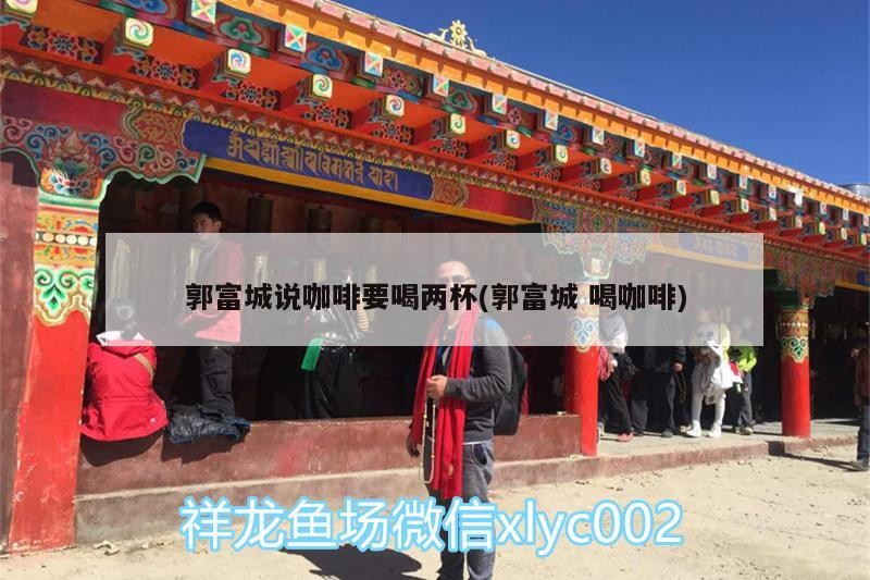 龍魚干蝦有營養嗎 郭富城說咖啡要喝兩杯(郭富城喝咖啡) 馬來西亞咖啡 郭富城說咖啡要喝兩杯(郭富城喝咖啡) 郭富城說咖啡要喝兩杯(郭富城喝咖啡) 馬來西亞咖啡