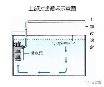 創寧水泵不工作什么原因（創寧水泵不工作什么原因造成的）