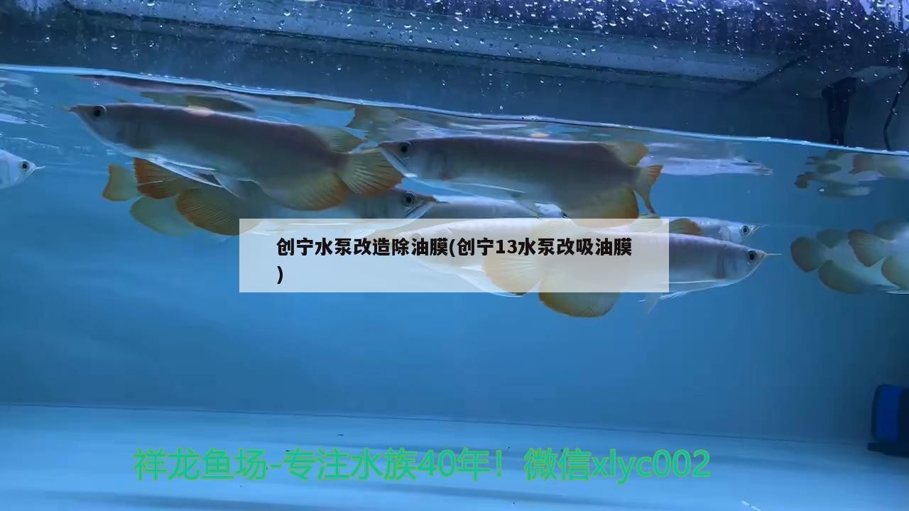 創寧水泵改造除油膜(創寧13水泵改吸油膜)
