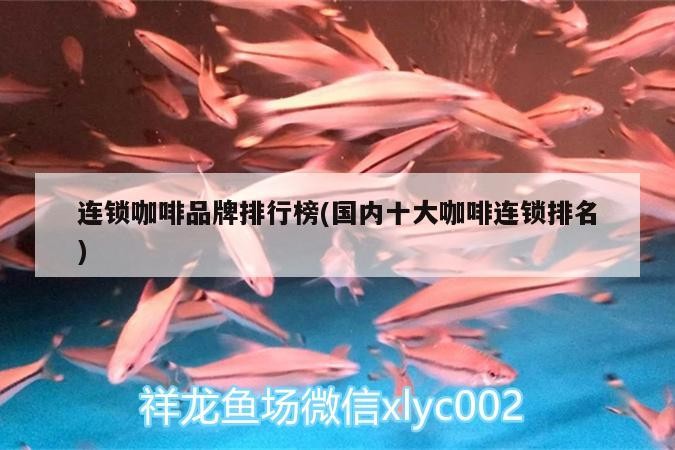 連鎖咖啡品牌排行榜(國內十大咖啡連鎖排名) 連鎖咖啡品牌排行榜(國內十大咖啡連鎖排名) 馬來西亞咖啡