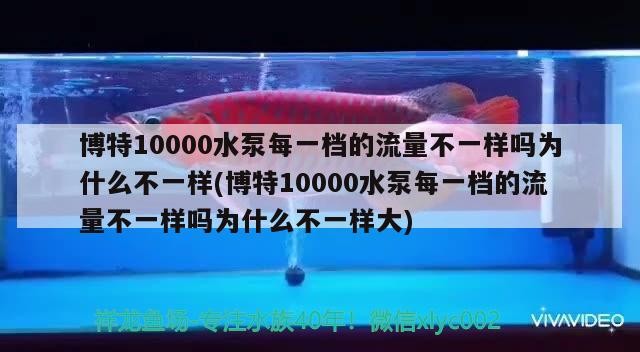 博特10000水泵每一檔的流量不一樣嗎為什么不一樣(博特10000水泵每一檔的流量不一樣嗎為什么不一樣大) 博特10000水泵每一檔的流量不一樣嗎為什么不一樣(博特10000水泵每一檔的流量不一樣嗎為什么不一樣大) 博特水族