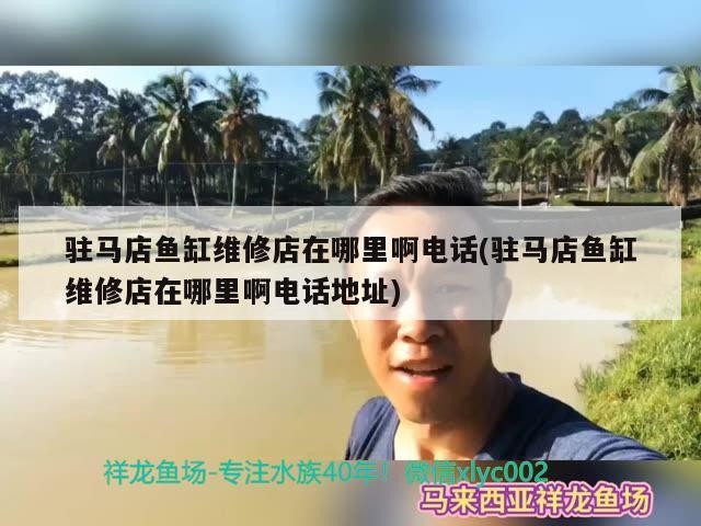 駐馬店魚缸維修店在哪里啊電話(駐馬店魚缸維修店在哪里啊電話地址) 駐馬店魚缸維修店在哪里啊電話(駐馬店魚缸維修店在哪里啊電話地址) 金龍魚百科