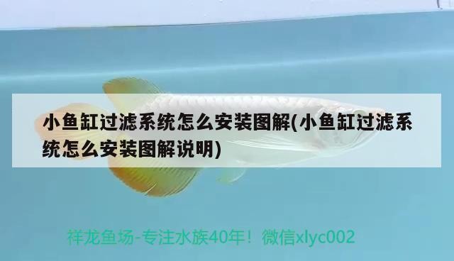 新魚缸過濾多久水清干凈