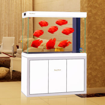 常州觀賞魚魚房轉(zhuǎn)讓（常州魚塘轉(zhuǎn)讓信息）