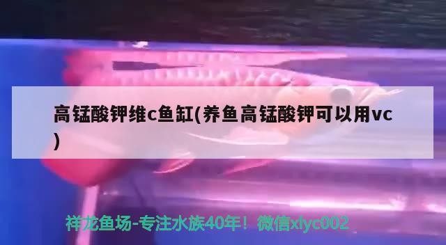 高錳酸鉀維c魚缸(養(yǎng)魚高錳酸鉀可以用vc)