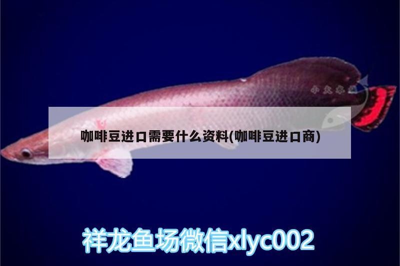 魚缸過濾器選購指南:自制魚缸過濾器魚缸上置過濾器對于養魚愛好者的必備知識 咖啡豆進口需要什么資料(咖啡豆進口商) 馬來西亞咖啡 咖啡豆進口需要什么資料(咖啡豆進口商) 咖啡豆進口需要什么資料(咖啡豆進口商) 馬來西亞咖啡