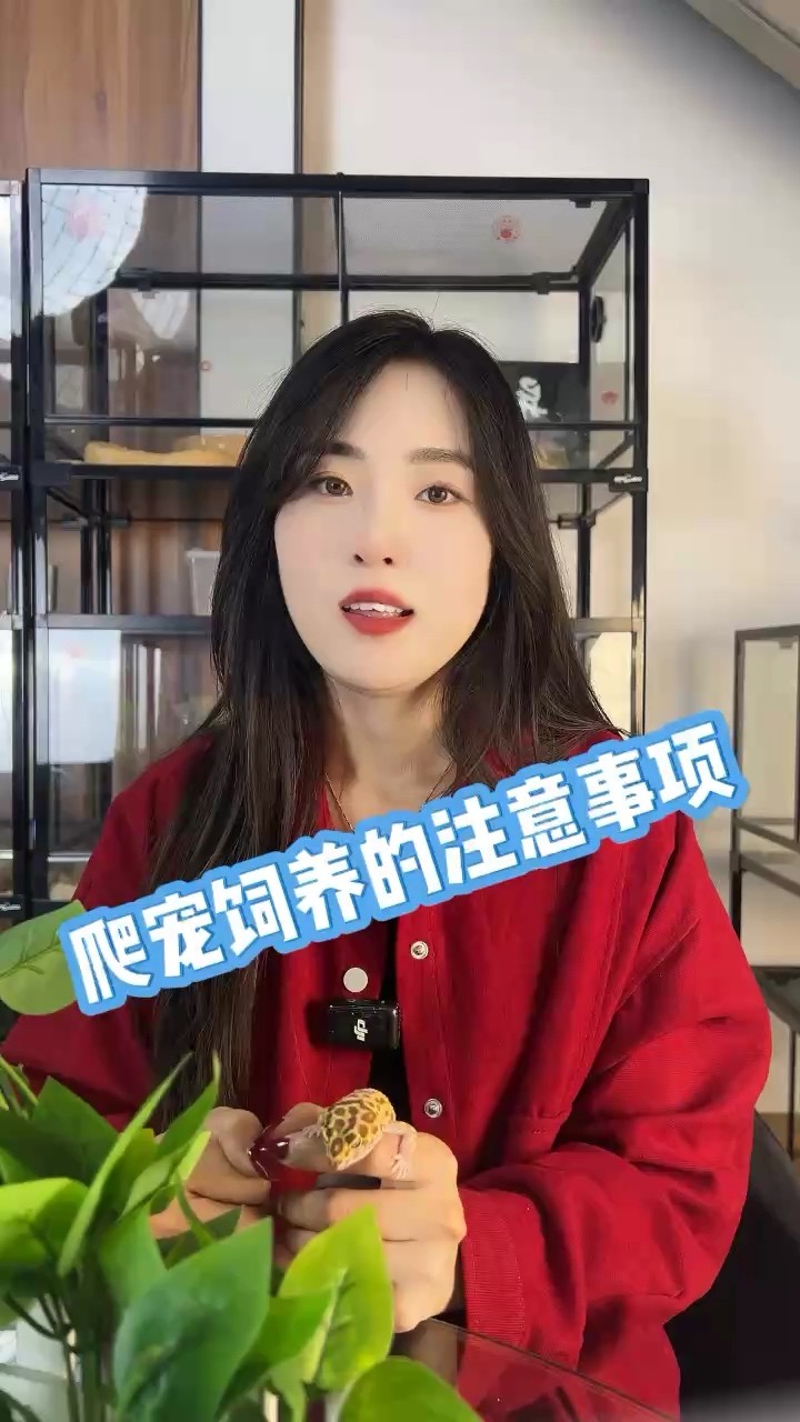 印尼虎魚多少溫度飼養最好:印尼虎魚多少溫度飼養最好印尼虎魚多少溫度飼養最好 飼養爬寵的注意事項 龍魚論壇 飼養爬寵的注意事項 飼養爬寵的注意事項 龍魚論壇