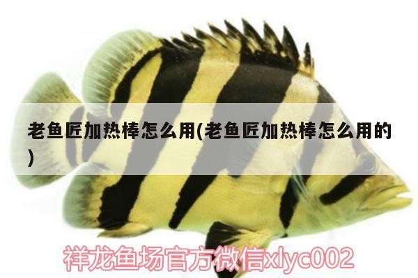 老魚(yú)匠加熱棒怎么用(老魚(yú)匠加熱棒怎么用的)