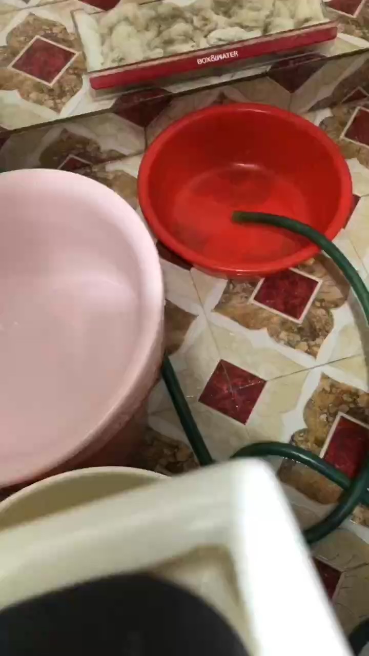 兩個???洗一次