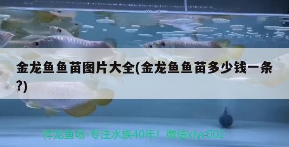 伊罕精巧桶60和伊罕150對(duì)比（伊罕精巧桶60能用在多大缸上）
