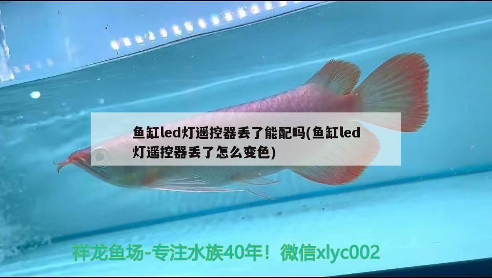 伊罕精巧桶60和伊罕150對比（伊罕精巧桶60能用在多大缸上）