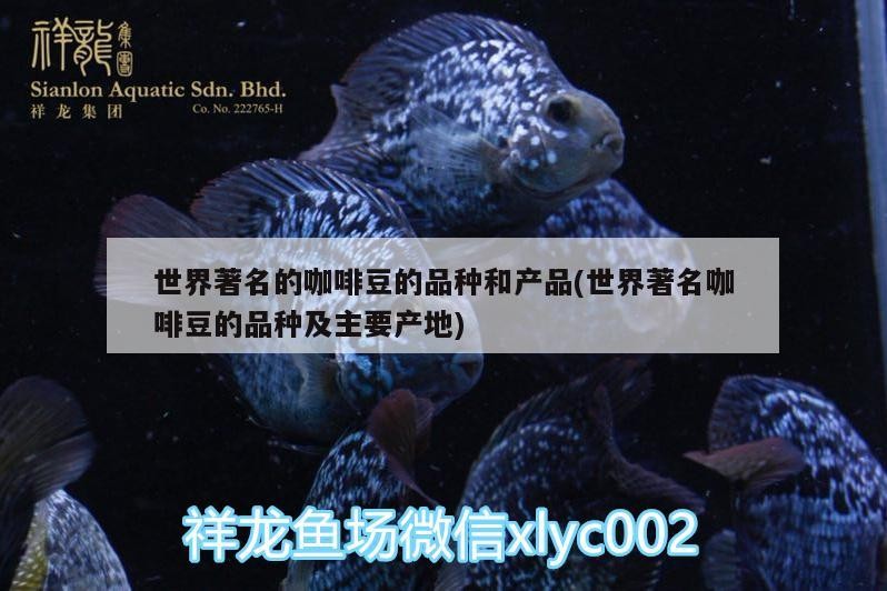 魚缸用增氧泵價格是多少:魚缸增氧機-xtrac增氧機-xtrac增氧機 世界著名的咖啡豆的品種和產品(世界著名咖啡豆的品種及主要產地) 馬來西亞咖啡 世界著名的咖啡豆的品種和產品(世界著名咖啡豆的品種及主要產地) 世界著名的咖啡豆的品種和產品(世界著名咖啡豆的品種及主要產地) 馬來西亞咖啡