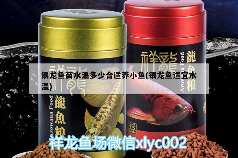 銀龍魚苗水溫多少合適養小魚(銀龍魚適宜水溫)