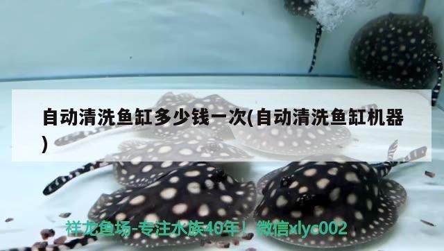 自動清洗魚缸多少錢一次(自動清洗魚缸機器)