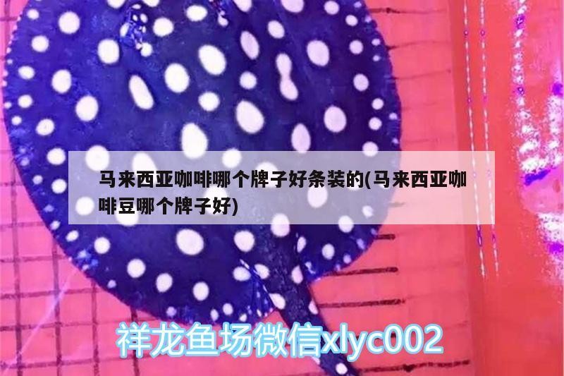 馬來西亞咖啡哪個牌子好條裝的(馬來西亞咖啡豆哪個牌子好) 馬來西亞咖啡哪個牌子好條裝的(馬來西亞咖啡豆哪個牌子好) 馬來西亞咖啡