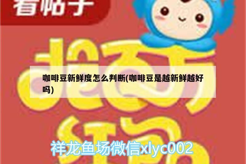 咖啡豆新鮮度怎么判斷(咖啡豆是越新鮮越好嗎)