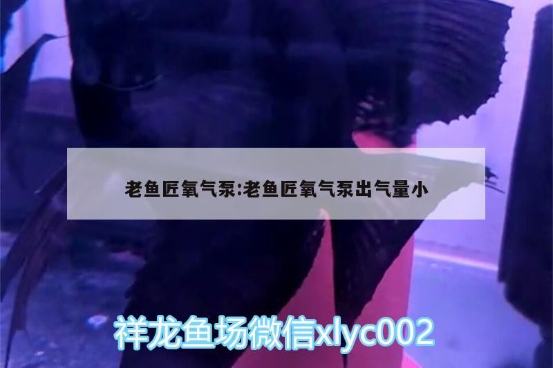 我的虎魚真菌感染了要怎么處理 老魚匠氧氣泵:老魚匠氧氣泵出氣量小 老魚匠 老魚匠氧氣泵:老魚匠氧氣泵出氣量小 老魚匠氧氣泵:老魚匠氧氣泵出氣量小 老魚匠