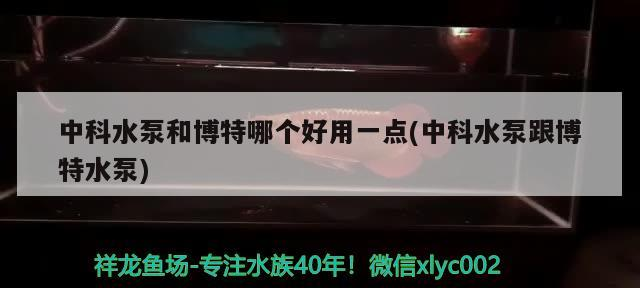 中科水泵和博特哪個好用一點(中科水泵跟博特水泵)
