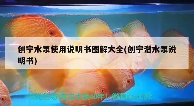 創(chuàng)寧水泵使用說(shuō)明書圖解大全(創(chuàng)寧潛水泵說(shuō)明書)