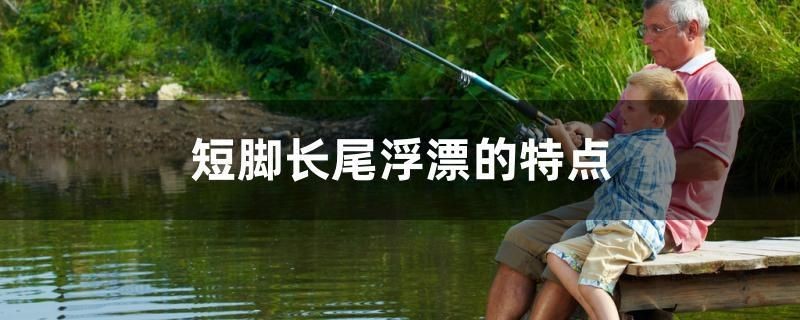 短腳長(zhǎng)尾浮漂的特點(diǎn)