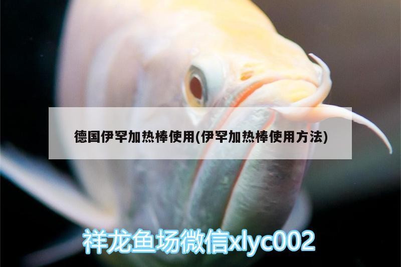德國伊罕加熱棒使用(伊罕加熱棒使用方法) 德國伊罕加熱棒使用(伊罕加熱棒使用方法) 伊罕水族