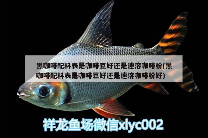 黑咖啡配料表是咖啡豆好還是速溶咖啡粉(黑咖啡配料表是咖啡豆好還是速溶咖啡粉好) 黑咖啡配料表是咖啡豆好還是速溶咖啡粉(黑咖啡配料表是咖啡豆好還是速溶咖啡粉好) 馬來西亞咖啡