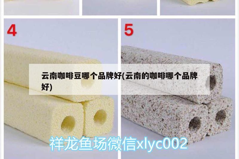 云南咖啡豆哪個(gè)品牌好(云南的咖啡哪個(gè)品牌好)