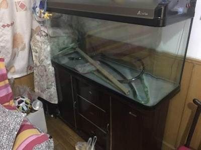 1米2的魚缸多少錢一個呢：1米2的魚缸價格可以從幾百元人民幣到幾千元人民幣不等