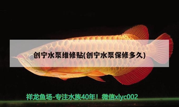 創寧水泵維修貼(創寧水泵保修多久)