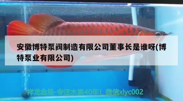 安徽博特泵閥制造有限公司董事長是誰呀(博特泵業(yè)有限公司)