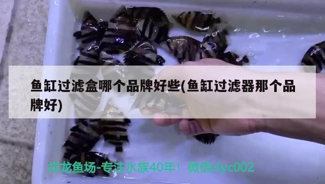 彩蝶魚缸和博特魚缸對比哪個好(比彩蝶好的魚缸) 彩蝶魚缸和博特魚缸對比哪個好(比彩蝶好的魚缸) 博特水族