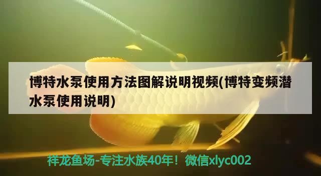 博特水泵使用方法圖解說明視頻(博特變頻潛水泵使用說明)