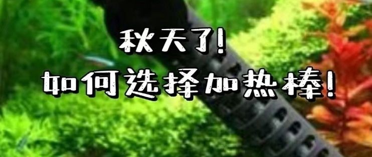 玉弘杰魚缸質量怎么樣，玉弘杰魚缸與其他品牌對比