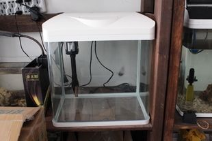 380魚缸是多少升水壓：380魚缸的水壓是多少
