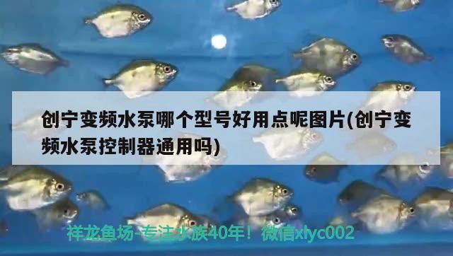 創(chuàng)寧變頻水泵哪個(gè)型號(hào)好用點(diǎn)呢圖片(創(chuàng)寧變頻水泵控制器通用嗎)