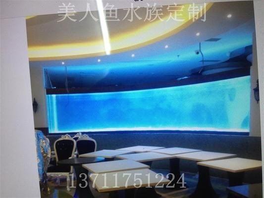 訂做金魚缸多少錢一套啊（訂做金魚缸的價格與養護技巧）