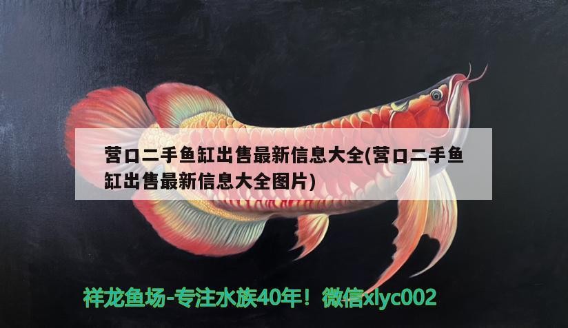 營口二手魚缸出售最新信息大全(營口二手魚缸出售最新信息大全圖片)
