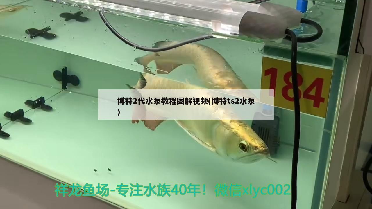 博特2代水泵教程圖解視頻(博特ts2水泵)