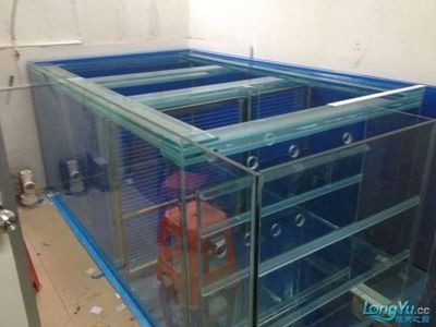 魟魚地缸：關于魟魚地缸的飼養方法