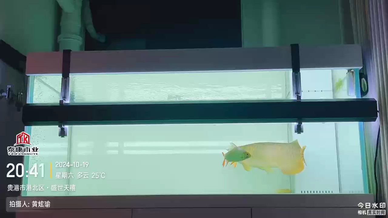 上燈，兩個月后對比！