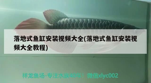 落地式魚(yú)缸配件怎樣組裝視頻，落地式魚(yú)缸安裝視頻 落地式魚(yú)缸配件怎樣組裝視頻，落地式魚(yú)缸安裝視頻 魚(yú)缸百科 第4張