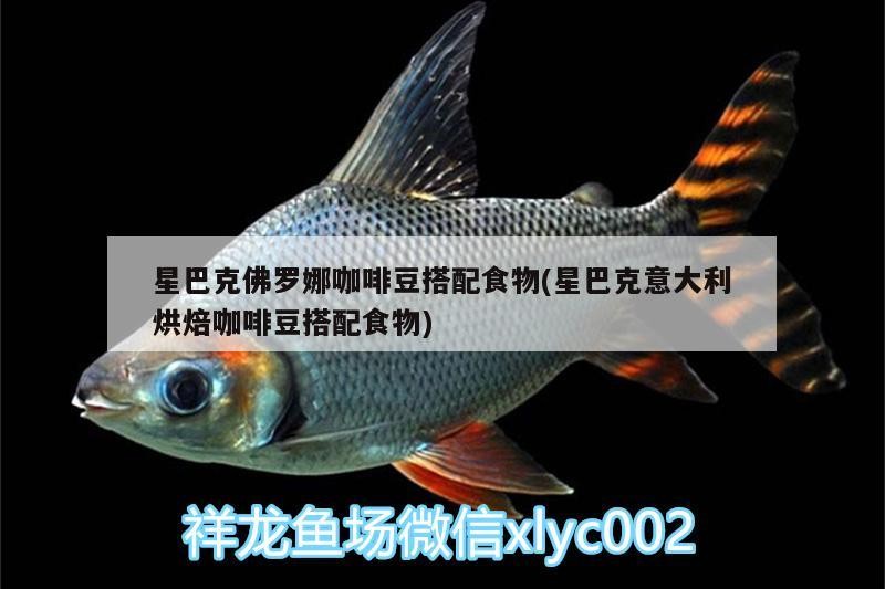 星巴克佛羅娜咖啡豆搭配食物(星巴克意大利烘焙咖啡豆搭配食物)