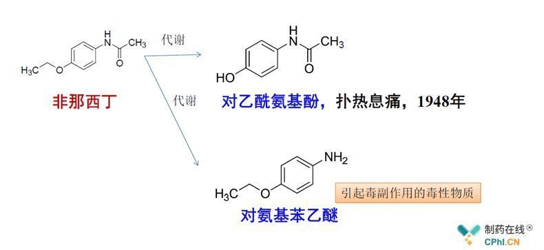 龍魚水溫度多少最佳vs祥龍魚場：龍魚養殖常見問題如何挑選健康龍魚龍魚養殖常見問題