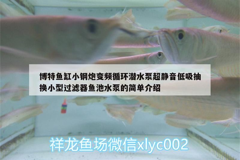 博特魚缸小鋼炮變頻循環潛水泵超靜音低吸抽換小型過濾器魚池水泵的簡單介紹 博特魚缸小鋼炮變頻循環潛水泵超靜音低吸抽換小型過濾器魚池水泵的簡單介紹 博特水族