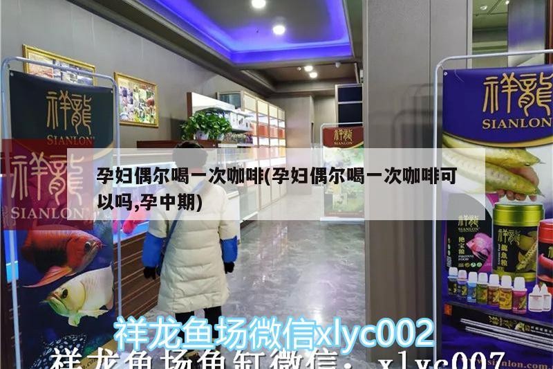 魚缸過濾器選購指南:自制魚缸過濾器魚缸上置過濾器對于養魚愛好者的必備知識 孕婦偶爾喝一次咖啡(孕婦偶爾喝一次咖啡可以嗎,孕中期) 馬來西亞咖啡 孕婦偶爾喝一次咖啡(孕婦偶爾喝一次咖啡可以嗎,孕中期) 孕婦偶爾喝一次咖啡(孕婦偶爾喝一次咖啡可以嗎,孕中期) 馬來西亞咖啡
