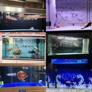 7s魚缸和,森森哪個好：7s魚缸和森森魚缸哪個更好，7s魚缸哪個更好