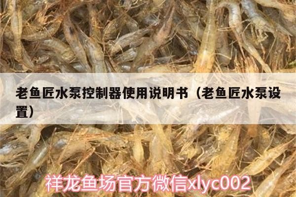 魚缸過濾器選購指南:自制魚缸過濾器魚缸上置過濾器對于養魚愛好者的必備知識 老魚匠水泵控制器使用說明書(老魚匠水泵設置) 老魚匠 老魚匠水泵控制器使用說明書(老魚匠水泵設置) 老魚匠水泵控制器使用說明書(老魚匠水泵設置) 老魚匠